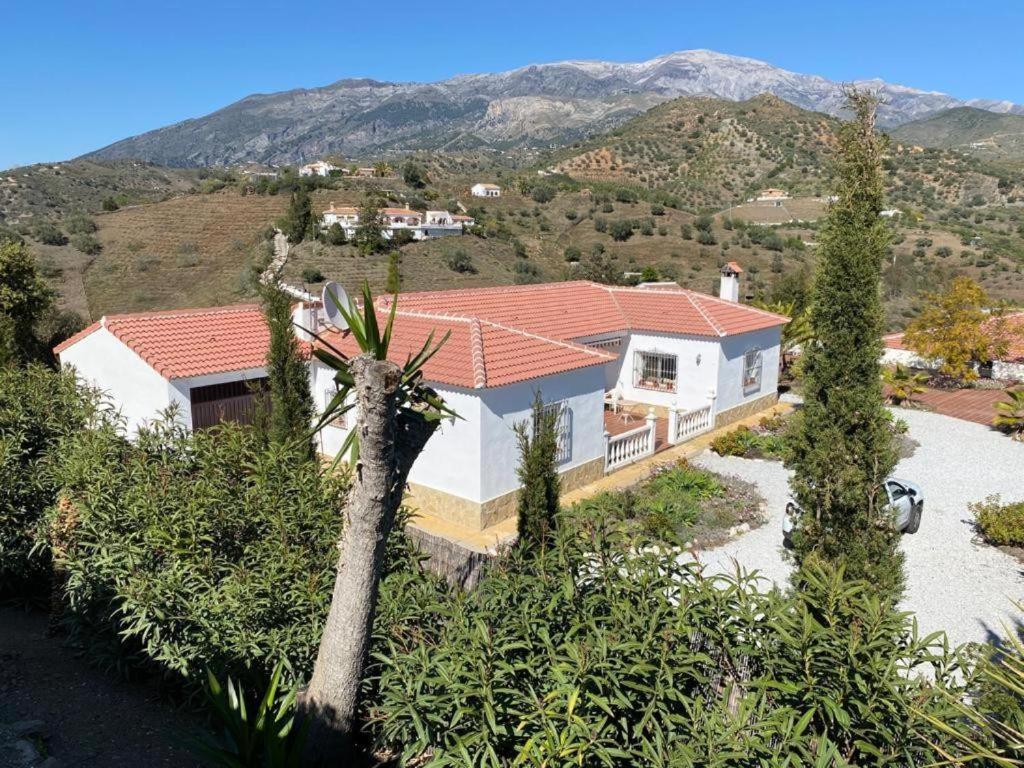 Casa Las Rosas - Malaga — Fotos 3